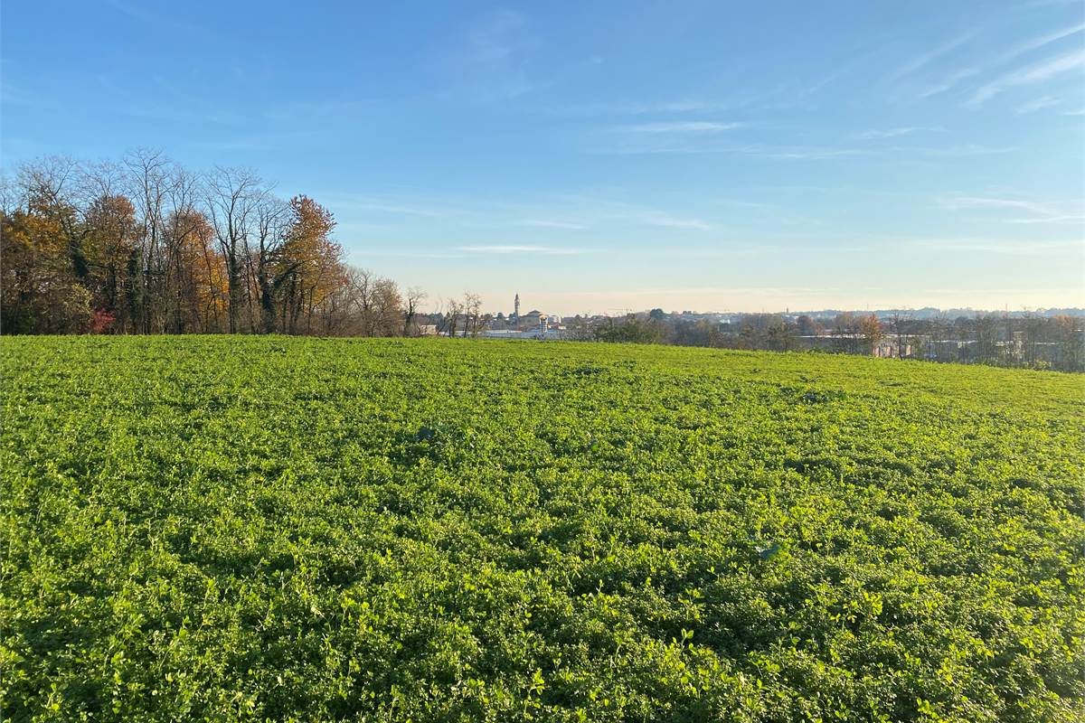 Cascina con ampio terreno a Cantù Fecchio 