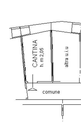 Cantina