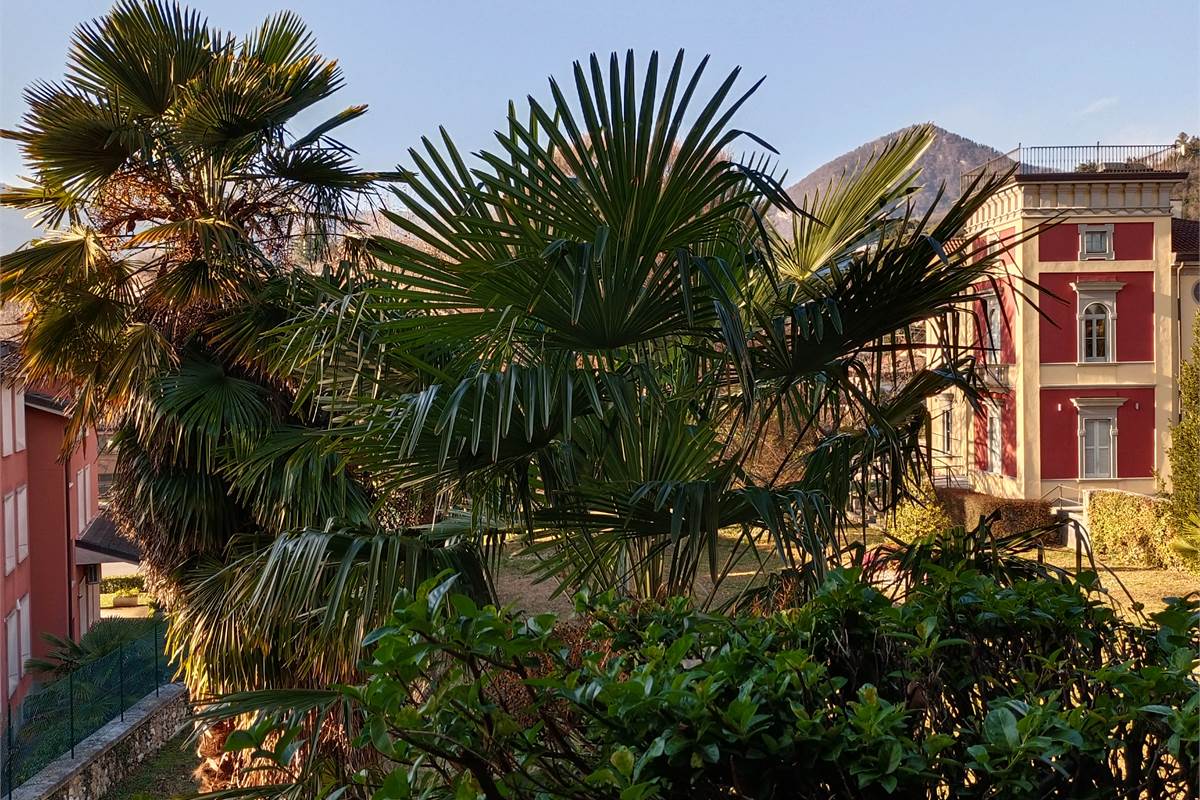 LONGONE AL SEGRINO (CO) VILLA SINGOLA CON GIARDINO