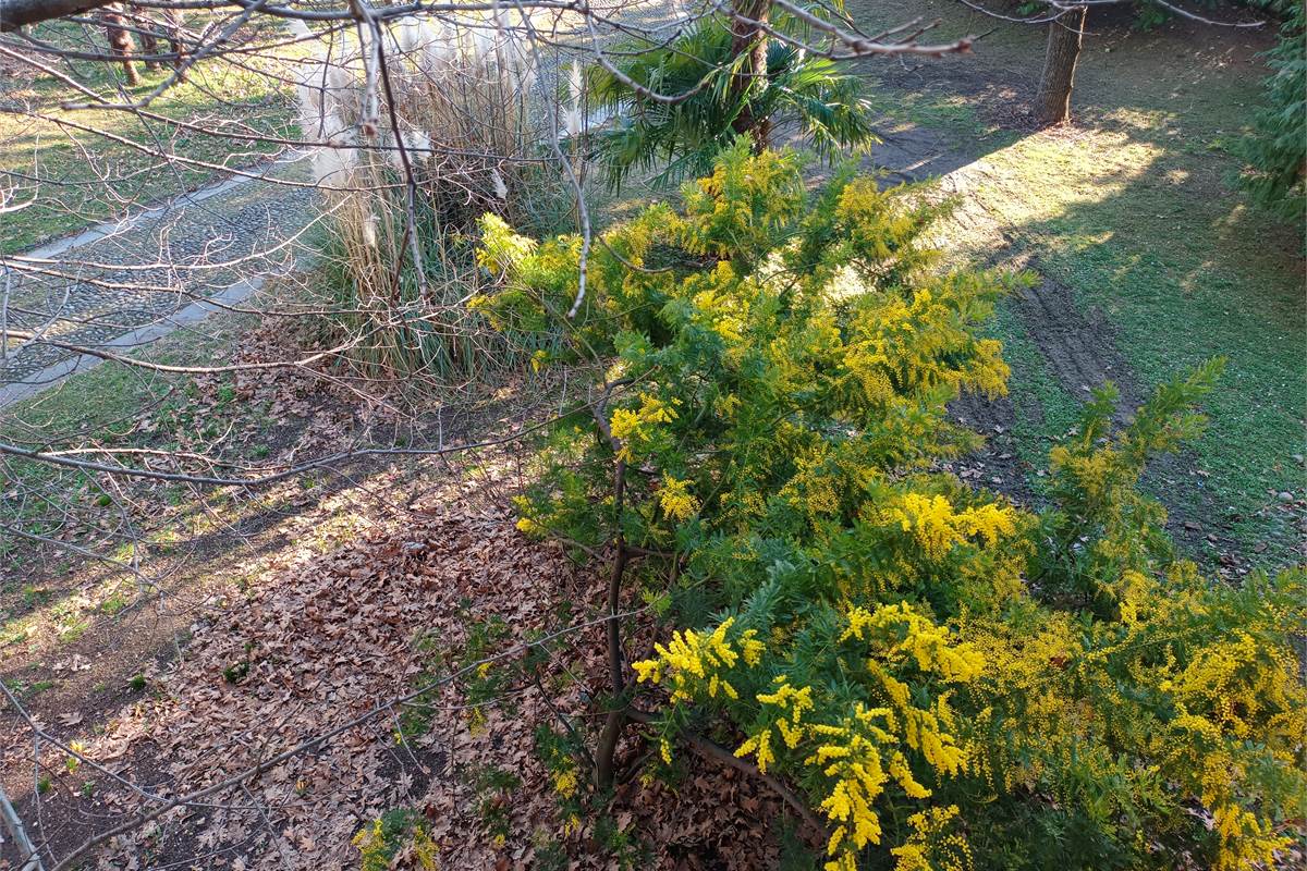 LONGONE AL SEGRINO (CO) VILLA SINGOLA CON GIARDINO