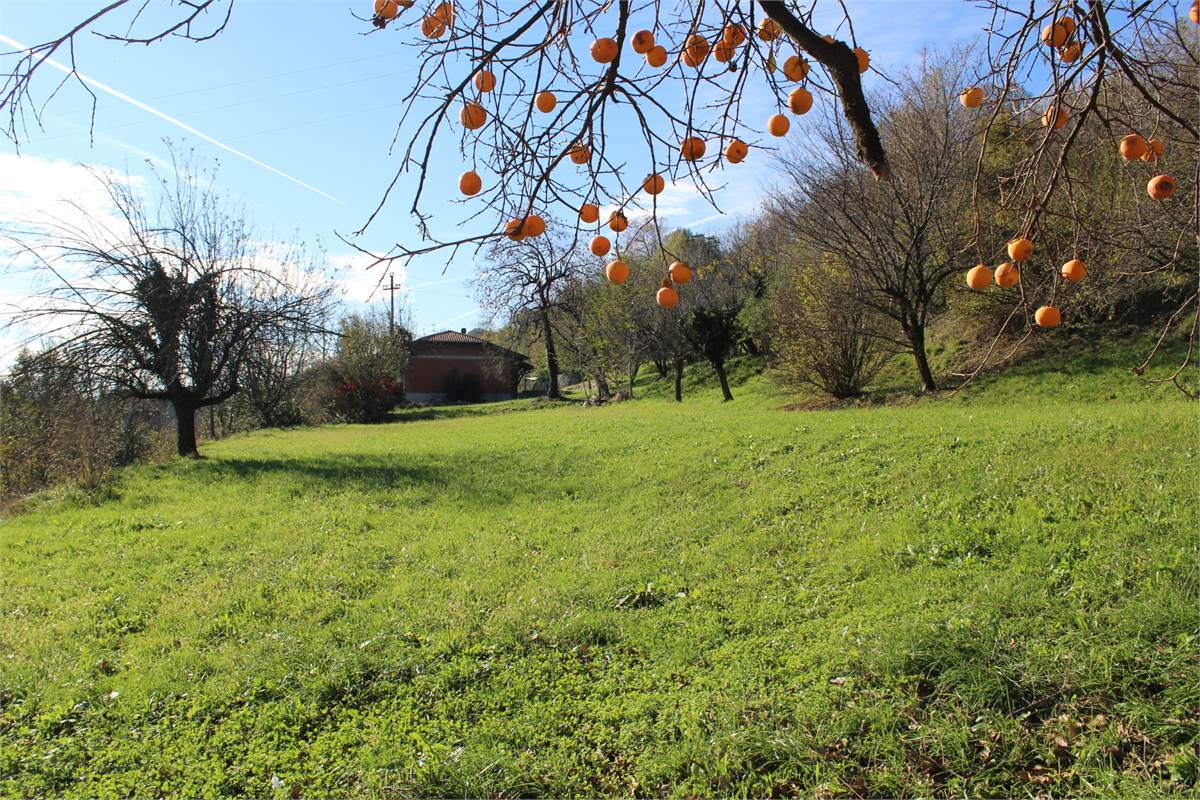 Terreno Edificabile In Vendita a Erba