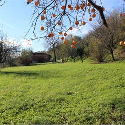 Terreno Edificabile In Vendita a Erba