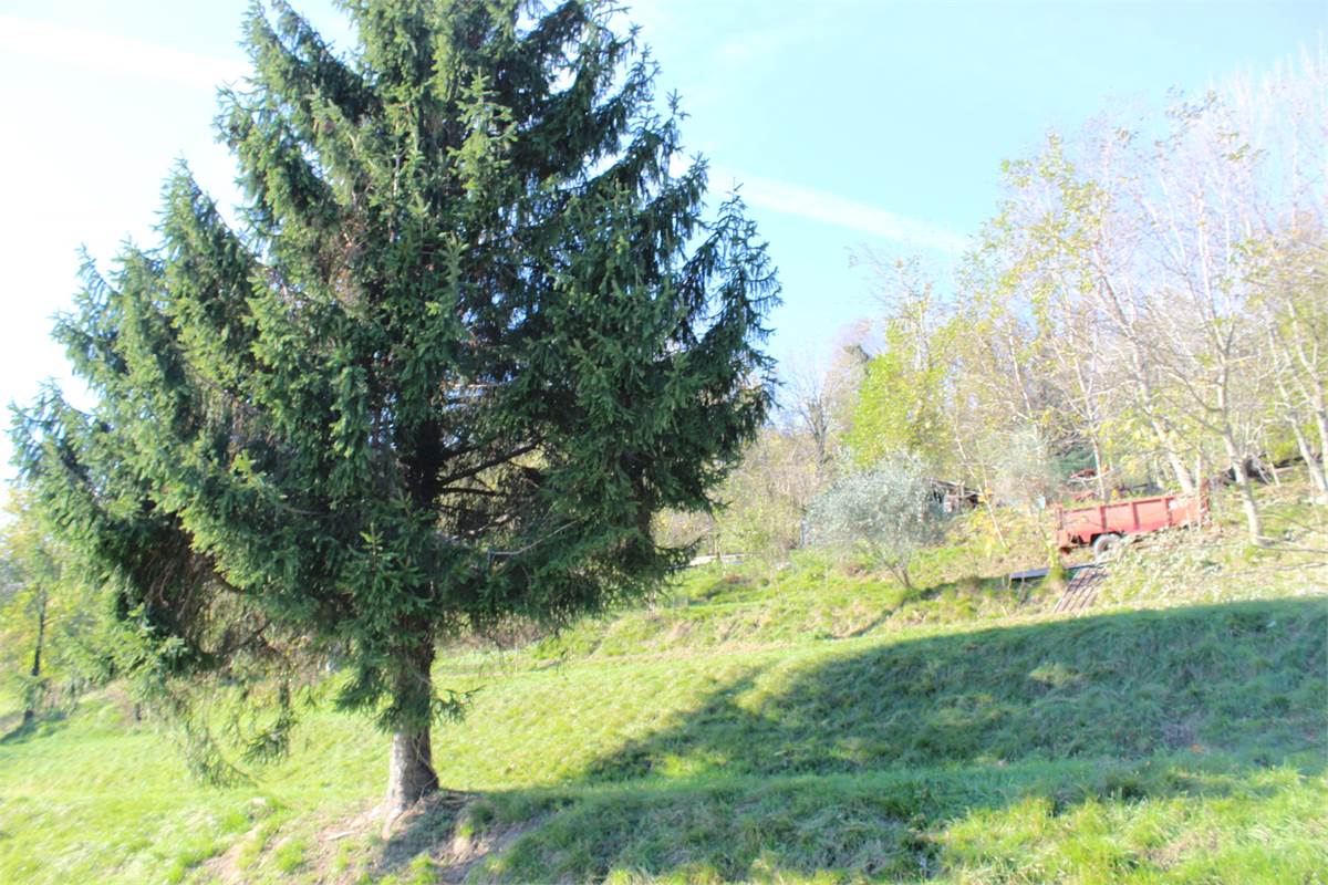 Terreno Edificabile In Vendita a Erba