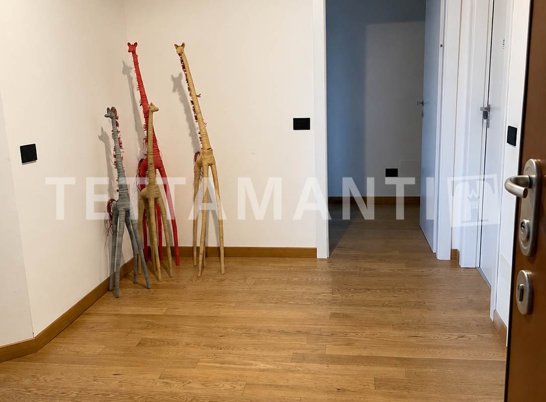 Ampio Appartamento Vista Lago a Como Garzola con box