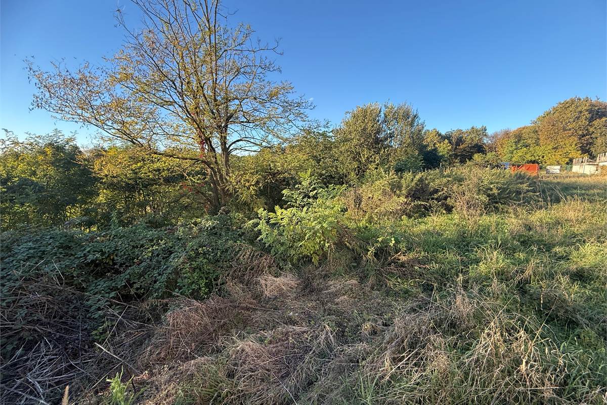 CANTU' RUSTICO CON AMPIO TERRENO PANORAMICO