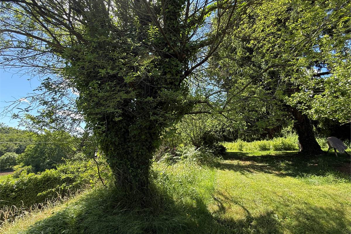 Capiago Intimiano zona verde - Cascina Pelada RUSTICO E TERRENO