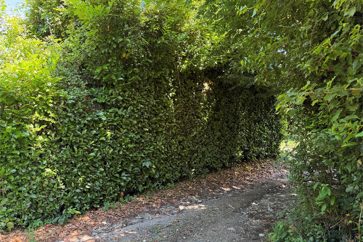 Capiago Intimiano zona verde - Cascina Pelada RUSTICO E TERRENO