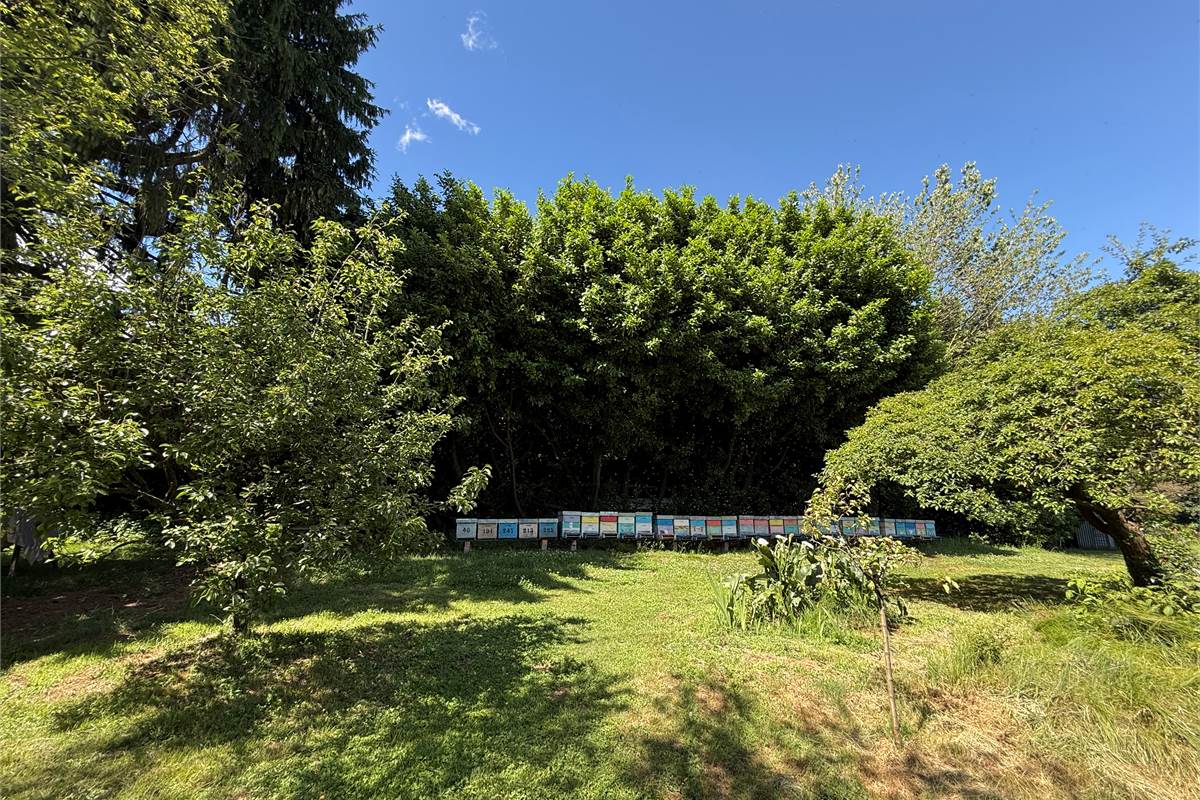 Capiago Intimiano zona verde - Cascina Pelada RUSTICO E TERRENO