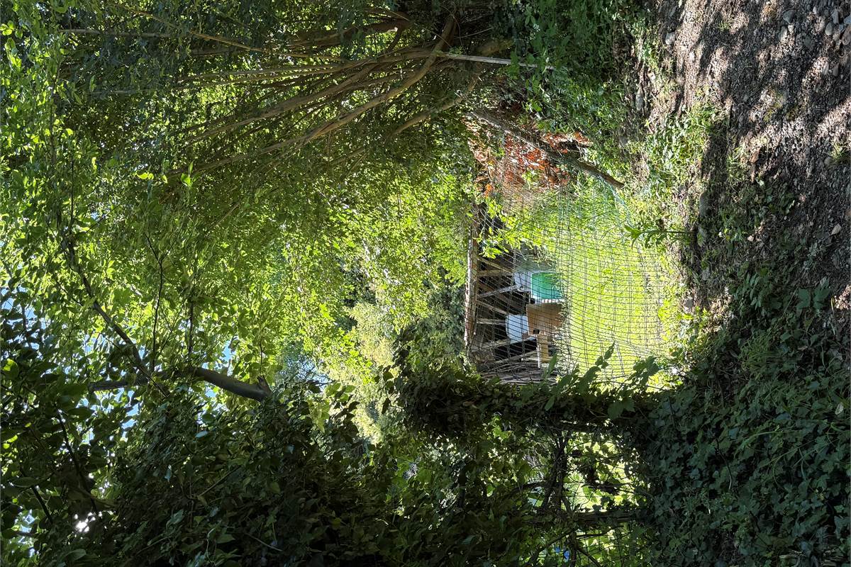 Capiago Intimiano zona verde - Cascina Pelada RUSTICO E TERRENO