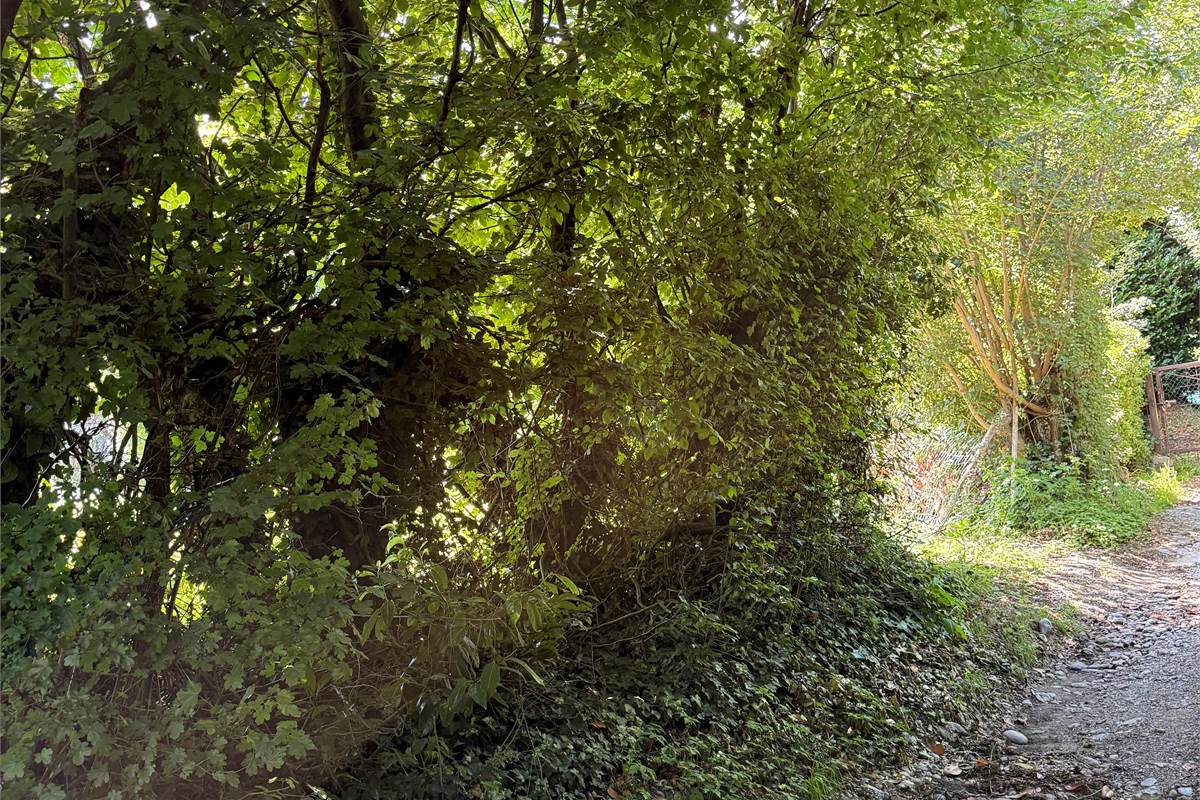 Capiago Intimiano zona verde - Cascina Pelada RUSTICO E TERRENO