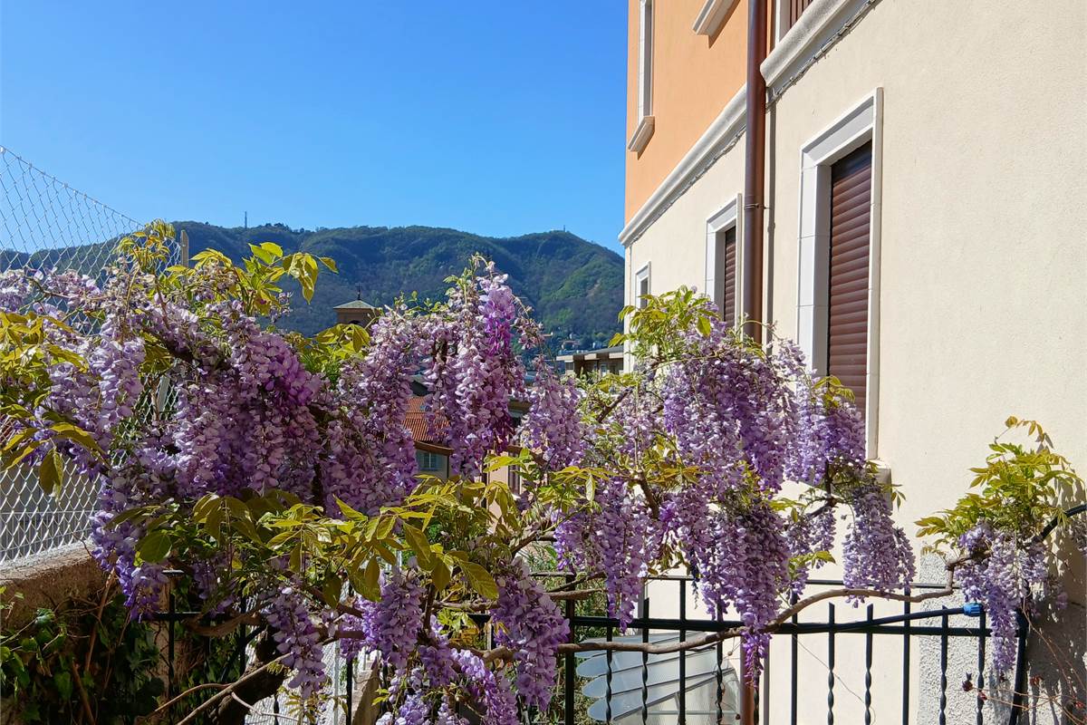 Ampio appartamento in vendita