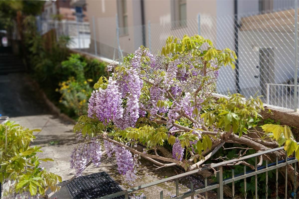 Ampio appartamento in vendita
