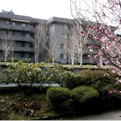 Monolocale con terrazzo