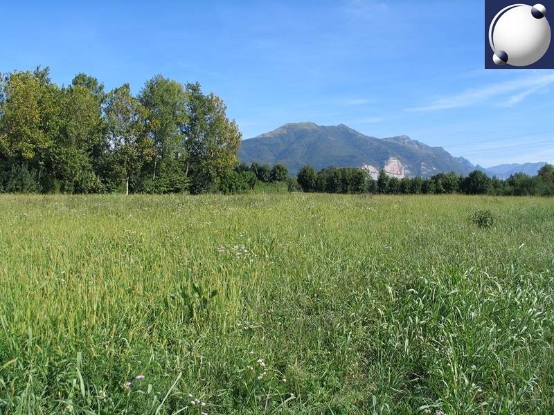 Rif. 10028 - Rogeno/Terreni agricoli