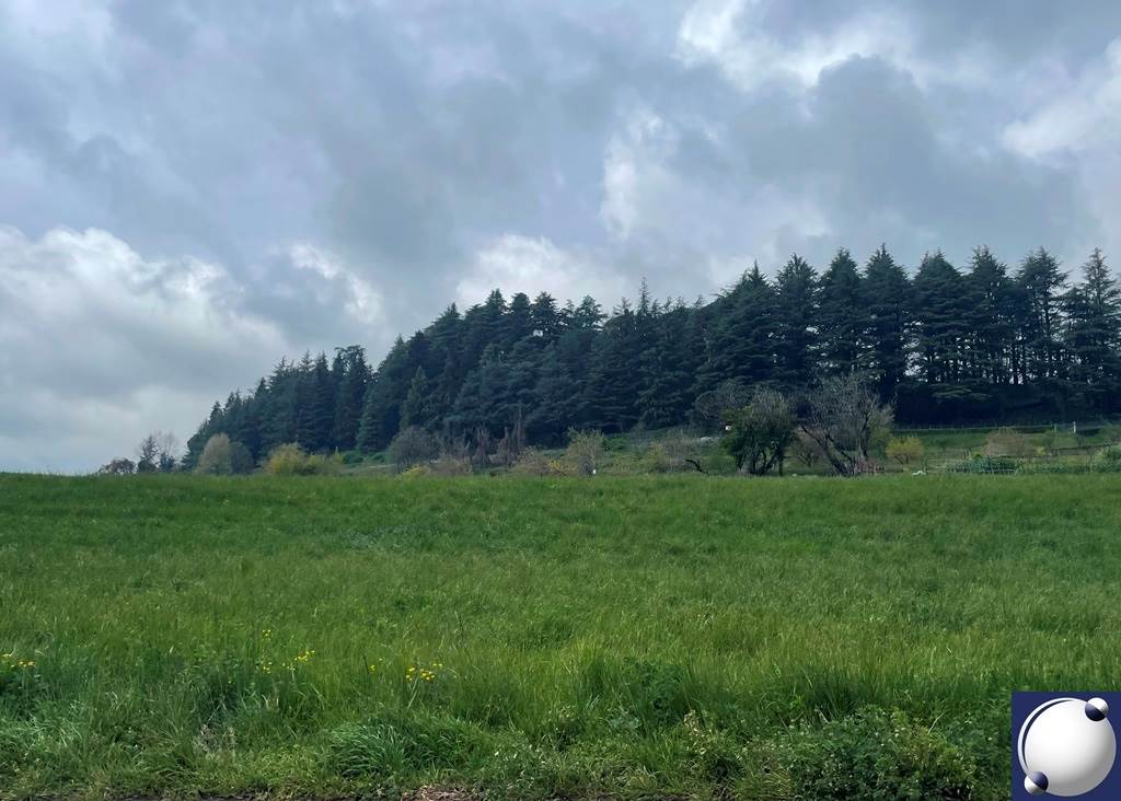 Rif. 10042 - Monguzzo/Terreni agricoli