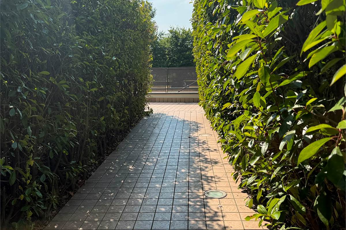 Ultimo piano con terrazzo