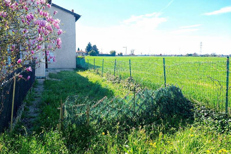 Ampio trilocale con giardino 