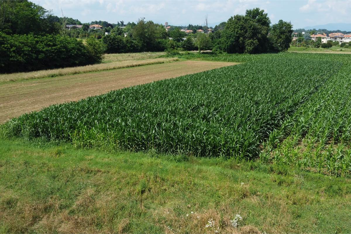 Ottimo Terreno agricolo a Fenegrò 