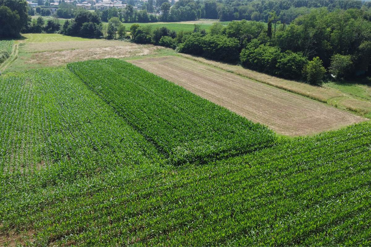 Ottimo Terreno agricolo a Fenegrò 