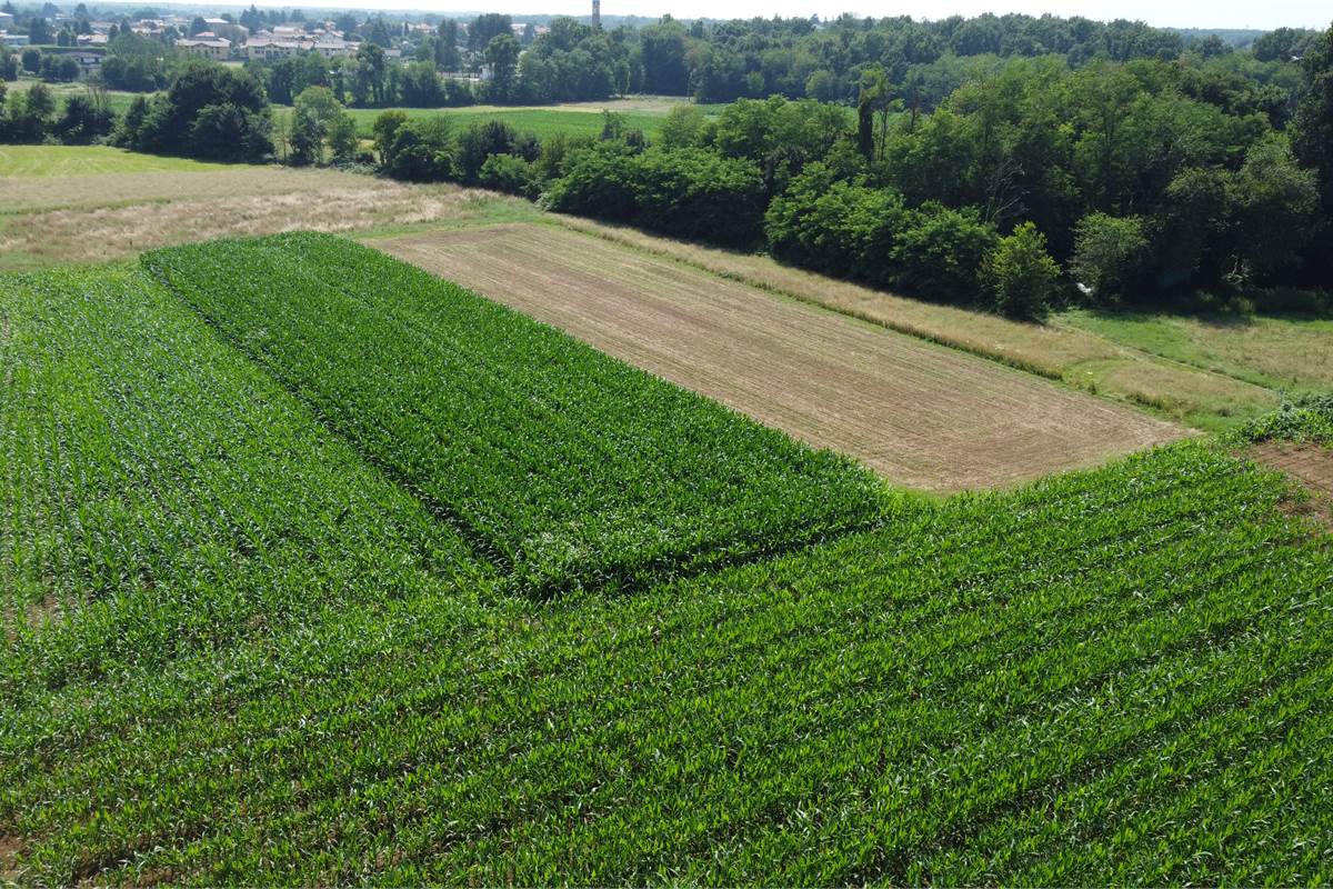 Ottimo Terreno agricolo a Fenegrò 