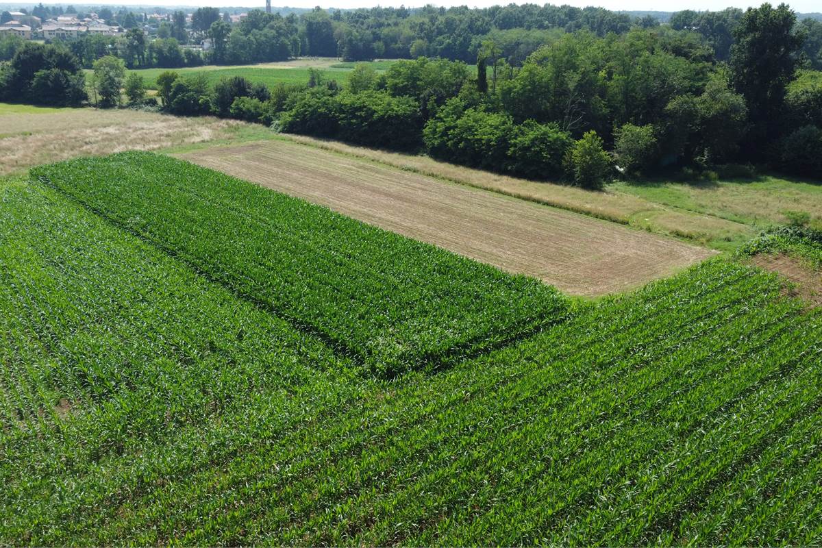 Ottimo Terreno agricolo a Fenegrò 