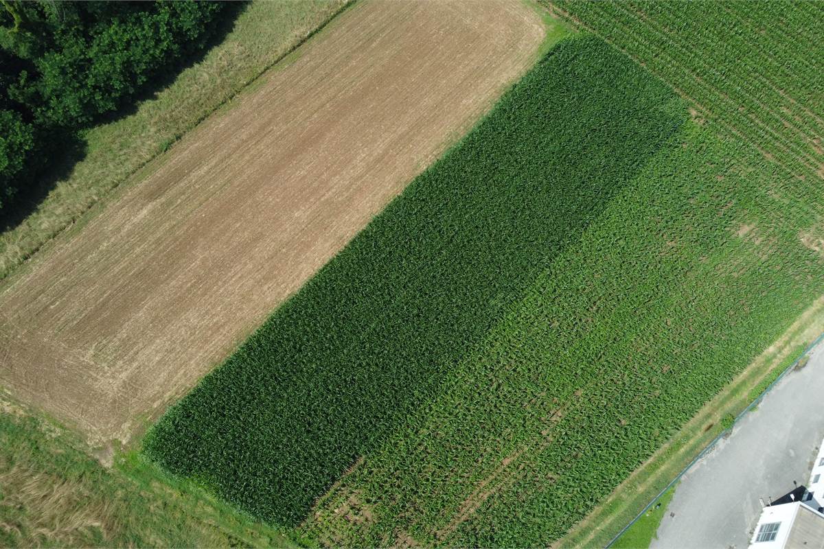 Ottimo Terreno agricolo a Fenegrò 