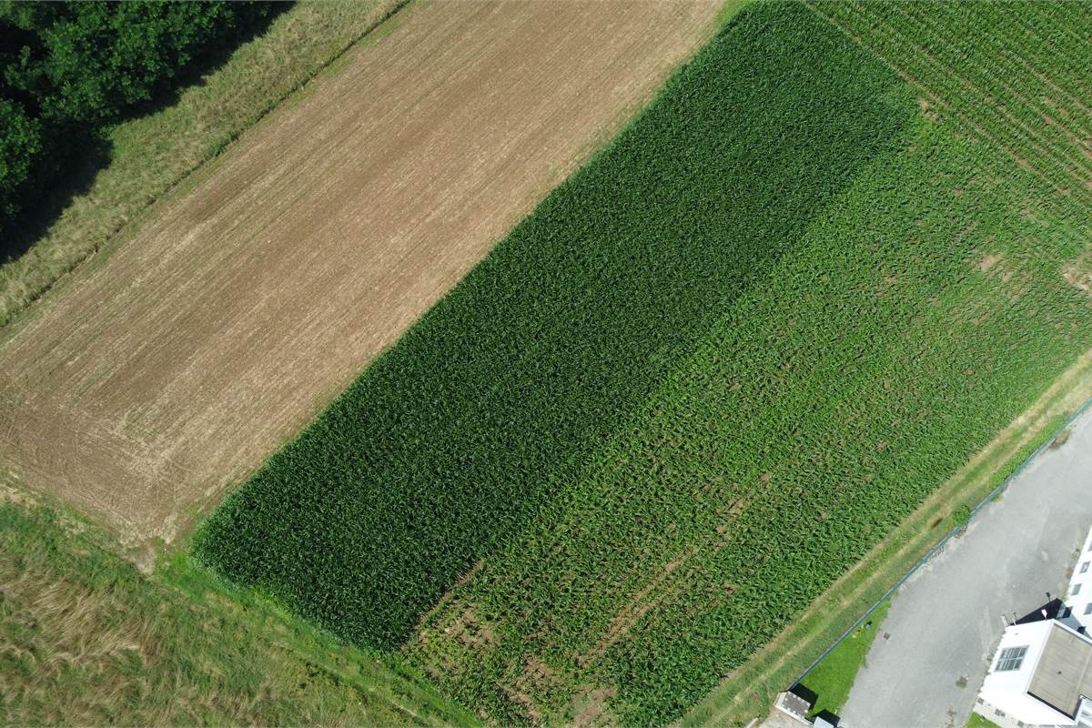 Ottimo Terreno agricolo a Fenegrò 