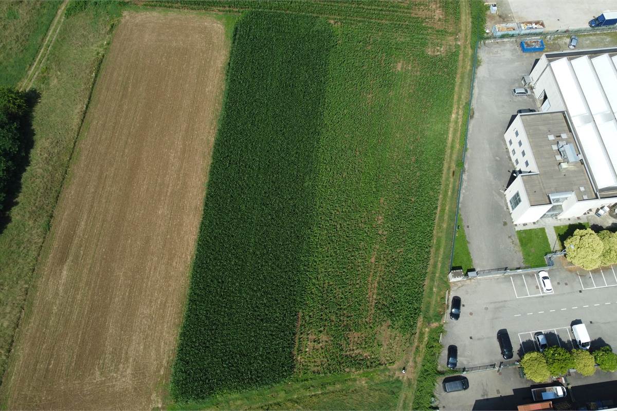 Ottimo Terreno agricolo a Fenegrò 
