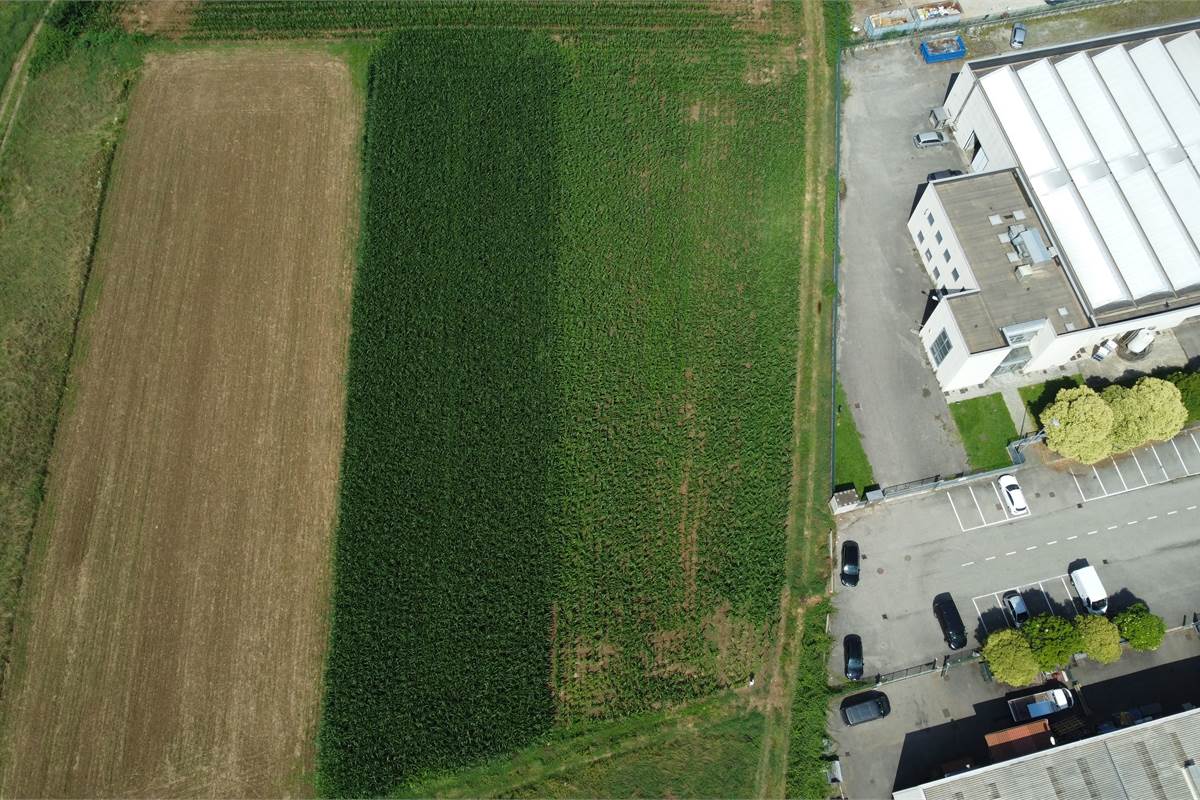 Ottimo Terreno agricolo a Fenegrò 