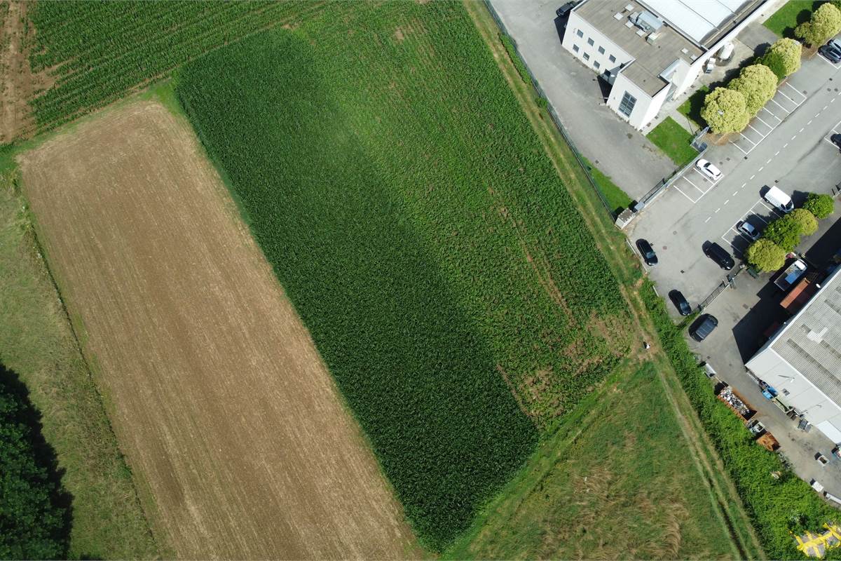 Ottimo Terreno agricolo a Fenegrò 