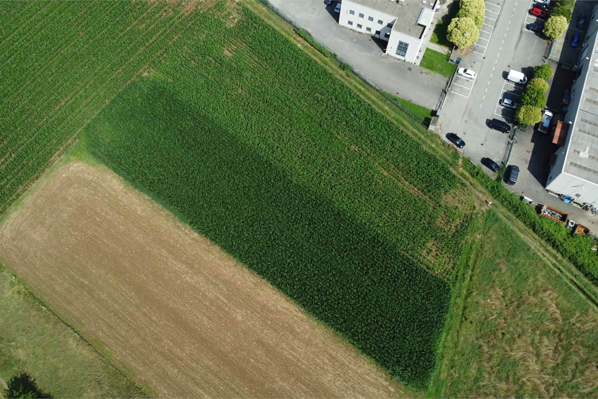 Ottimo Terreno agricolo a Fenegrò 