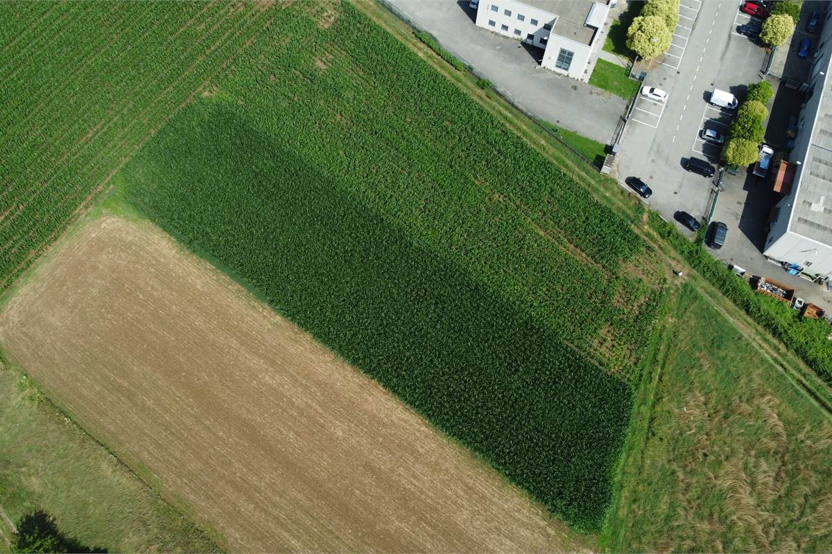 Ottimo Terreno agricolo a Fenegrò 