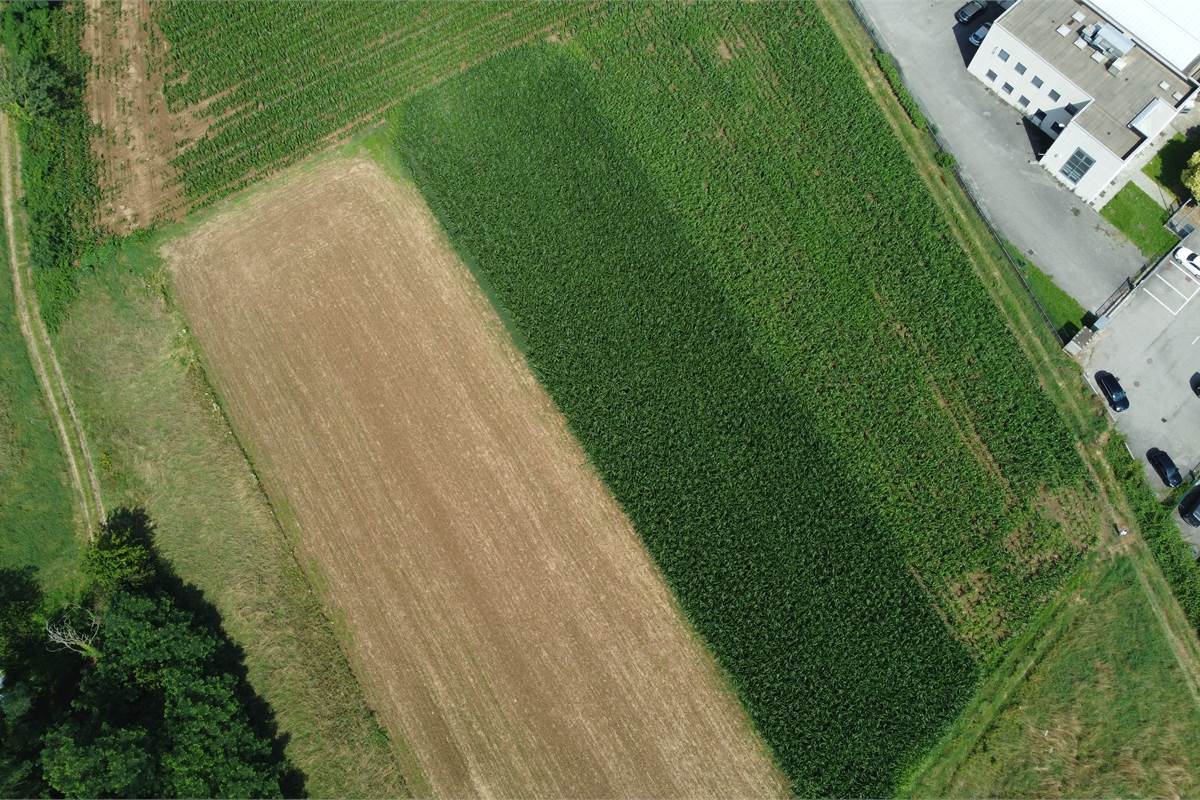 Ottimo Terreno agricolo a Fenegrò 