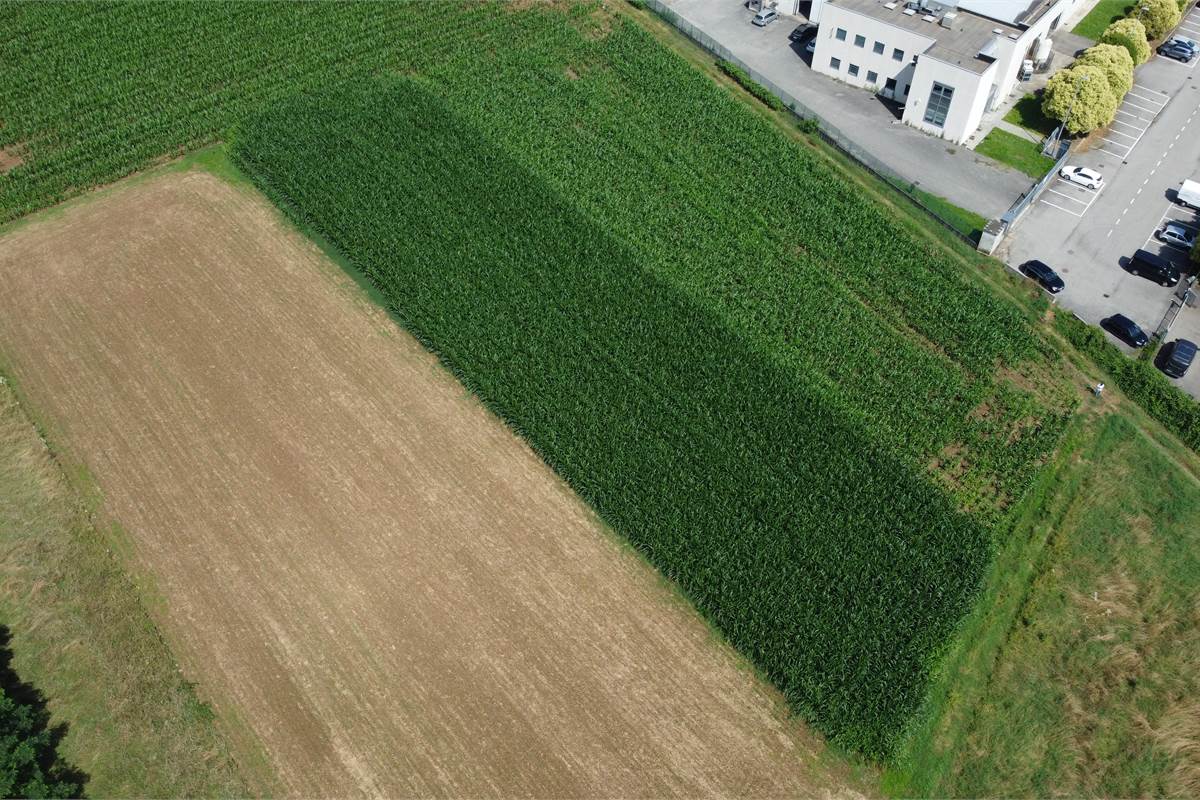 Ottimo Terreno agricolo a Fenegrò 