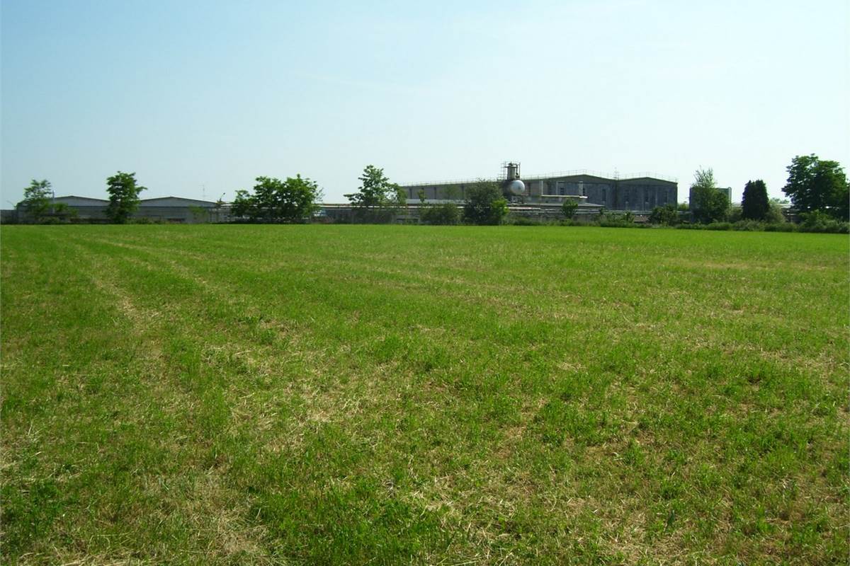 Terreno Edif. Industriale/Artigianale a Veniano