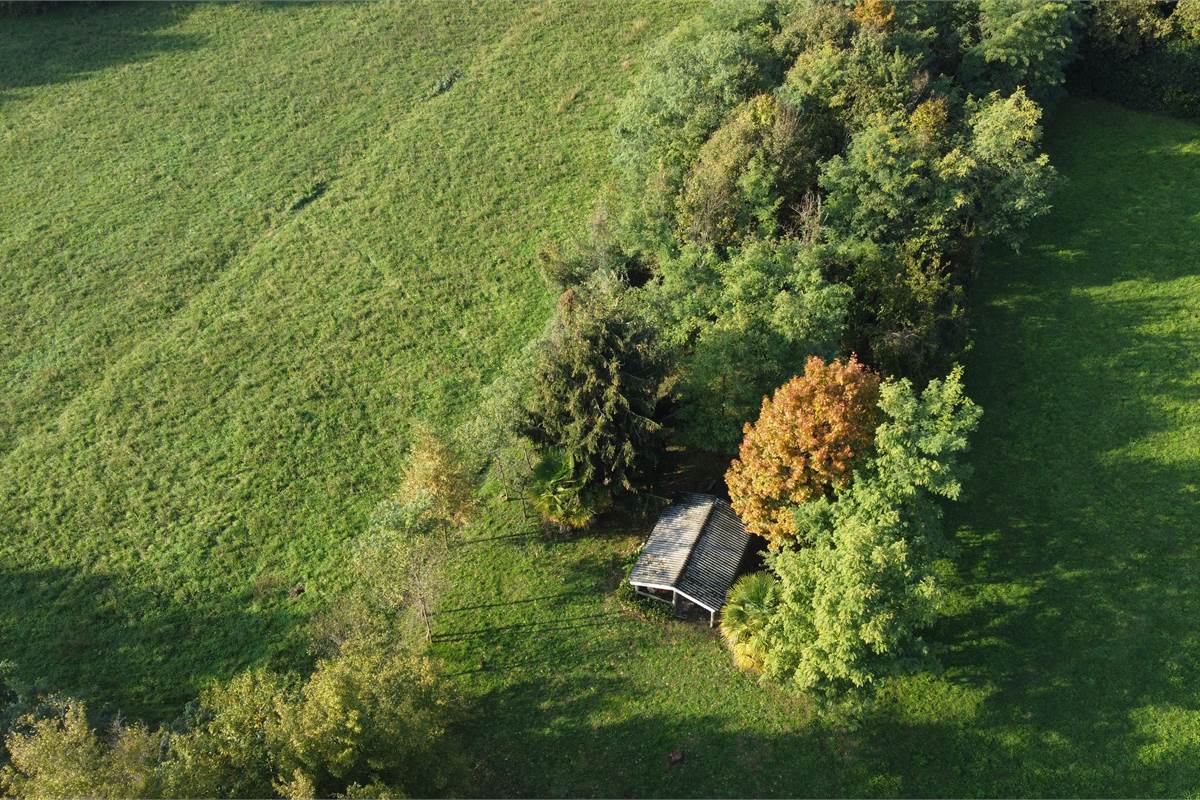 Terreno agricolo e boschivo a Vertemate 