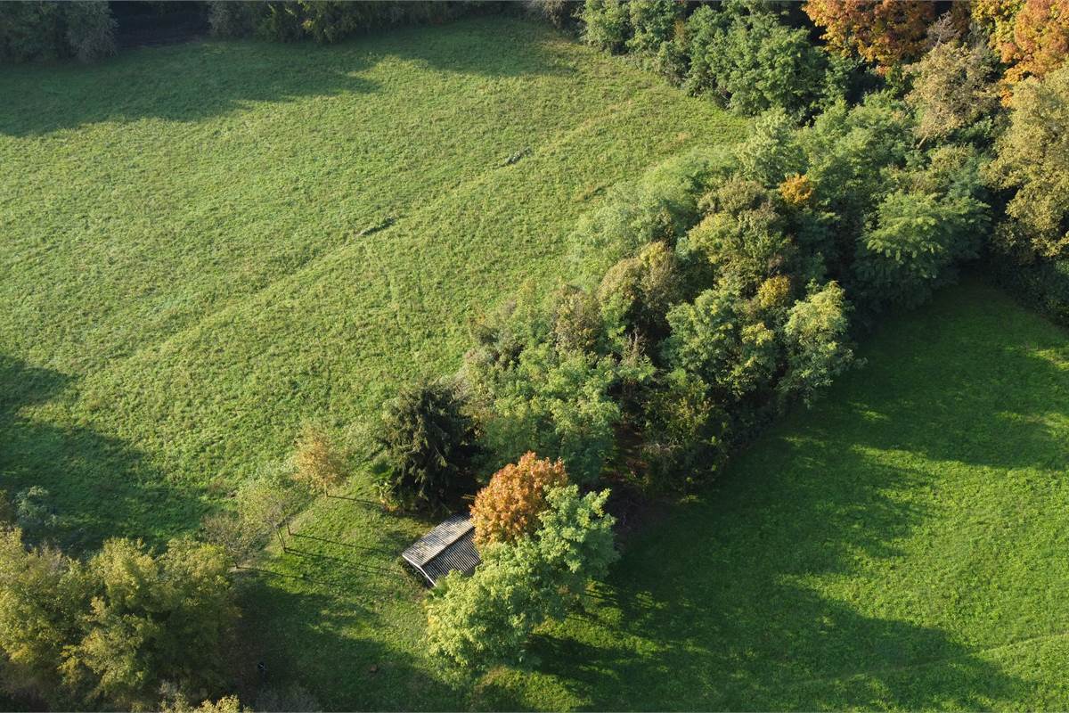 Terreno agricolo e boschivo a Vertemate 
