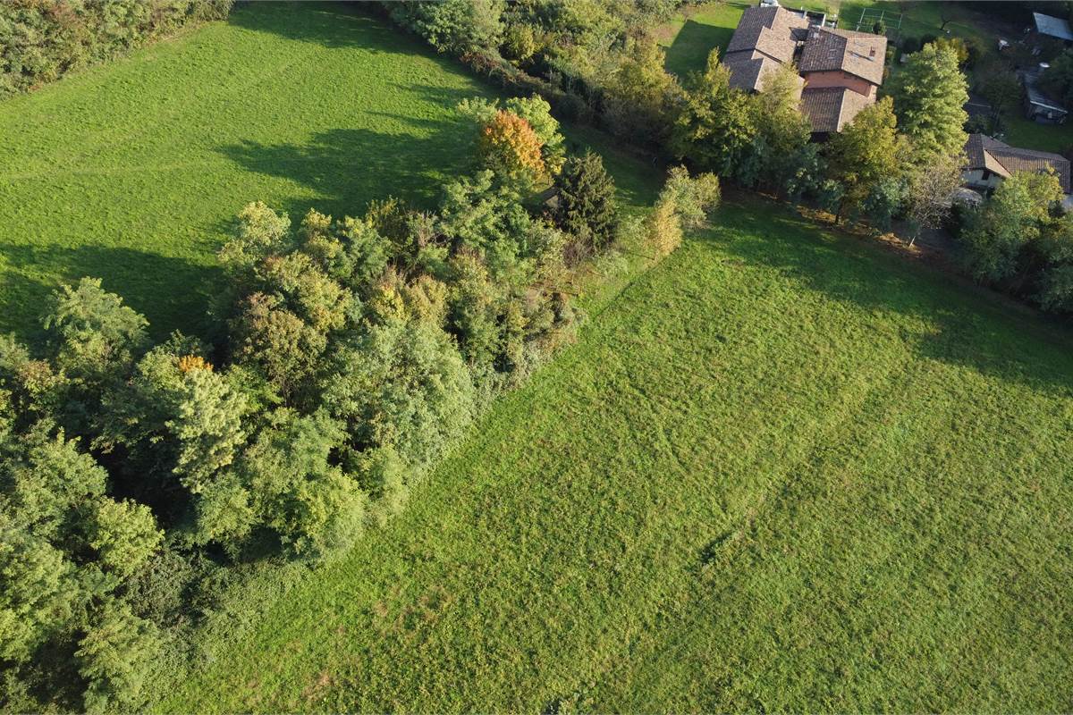 Terreno agricolo e boschivo a Vertemate 