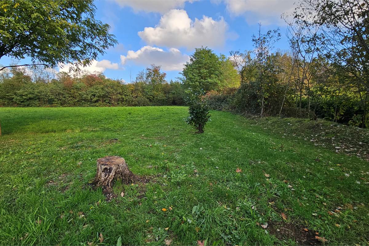 Terreno agricolo e boschivo a Vertemate 