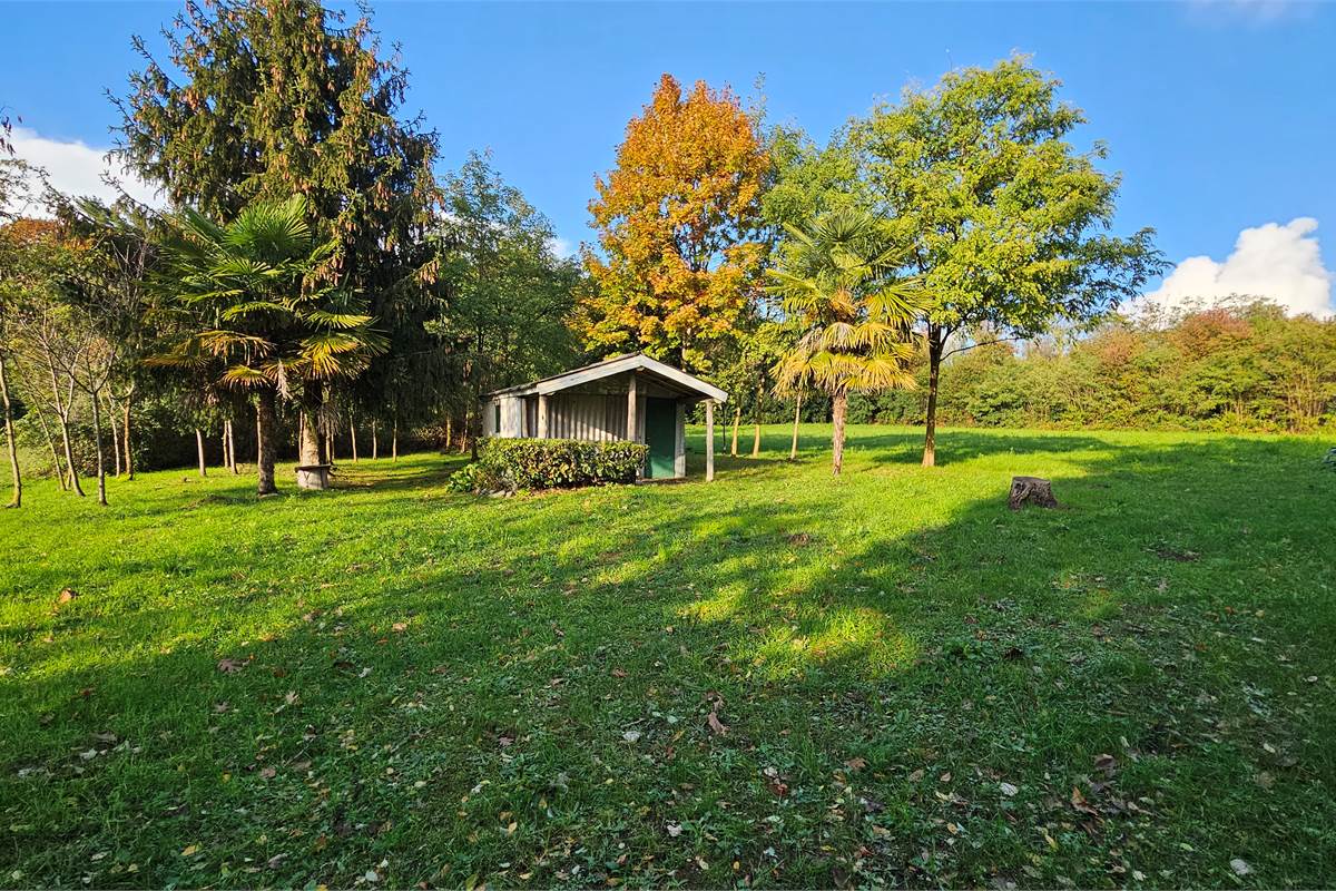 Terreno agricolo e boschivo a Vertemate 