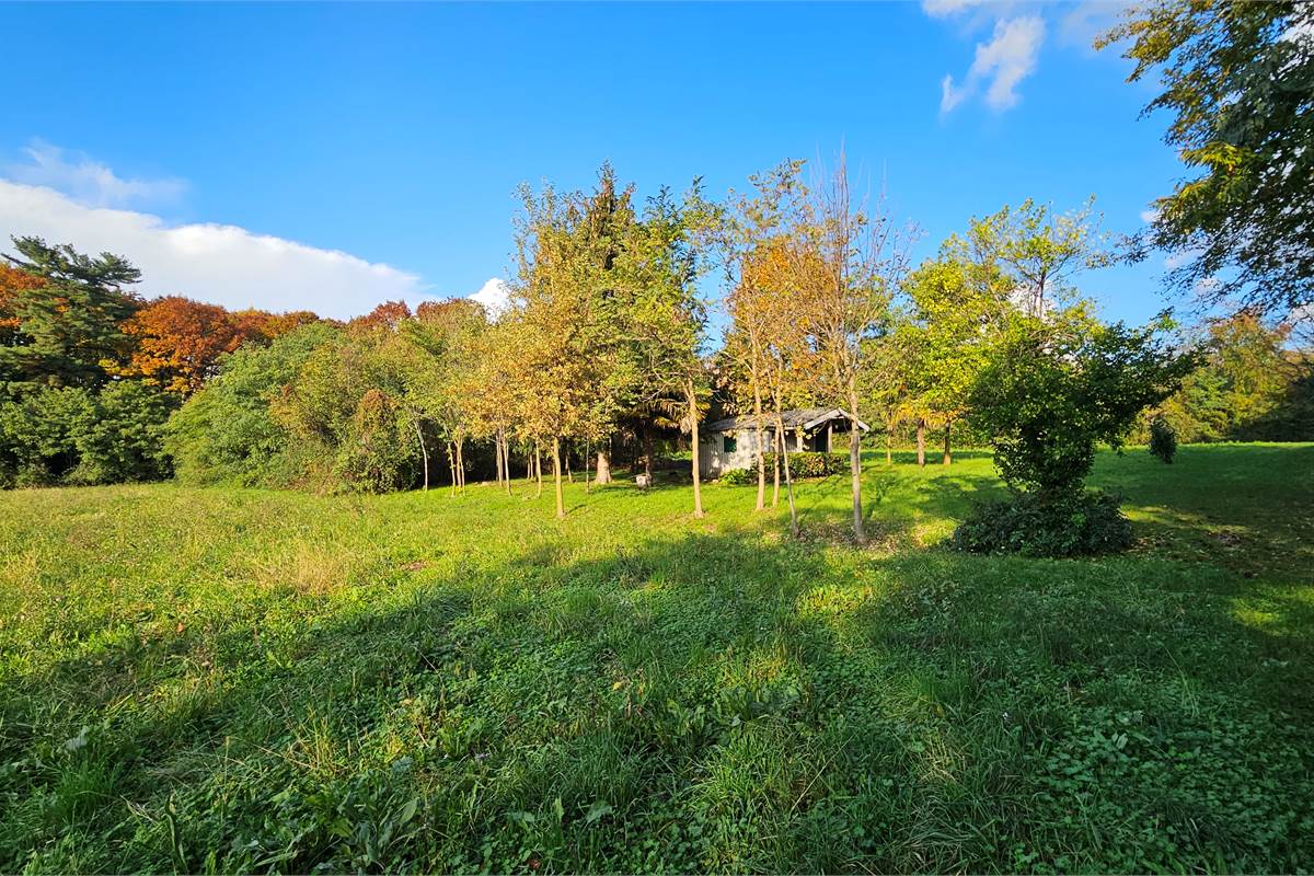 Terreno agricolo e boschivo a Vertemate 