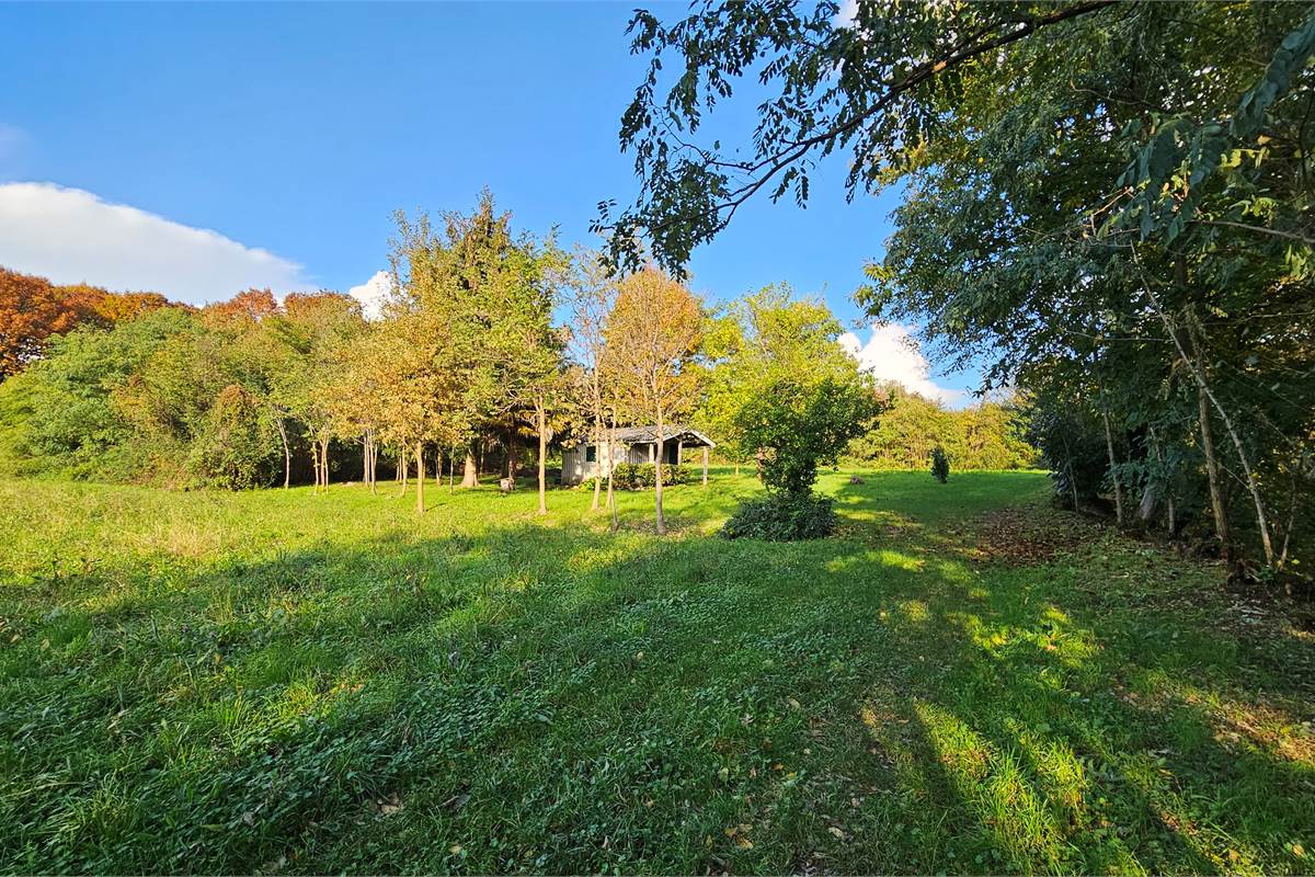 Terreno agricolo e boschivo a Vertemate 