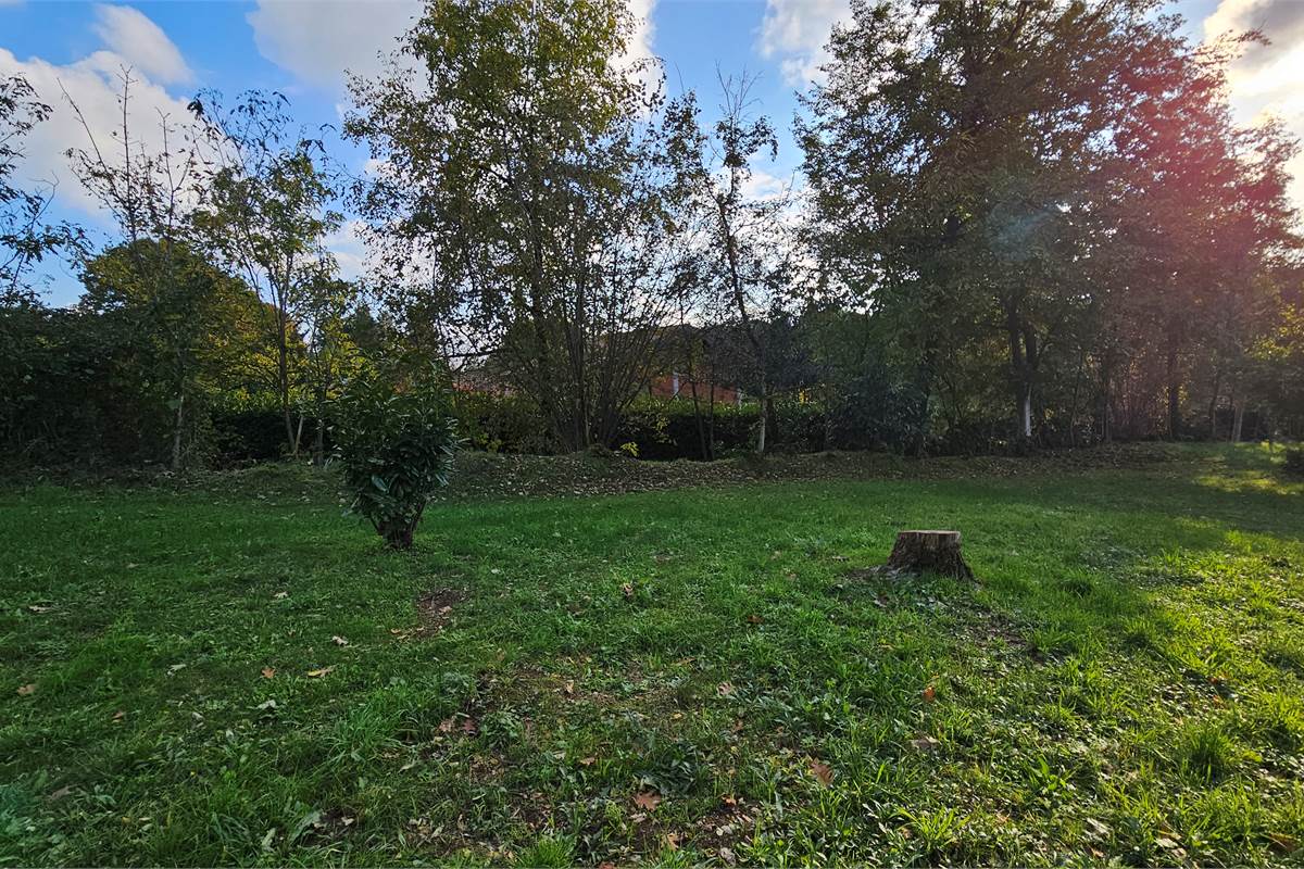 Terreno agricolo e boschivo a Vertemate 