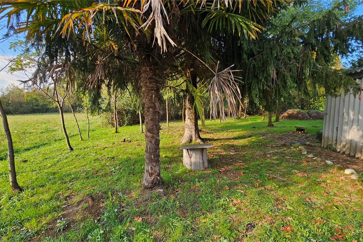 Terreno agricolo e boschivo a Vertemate 