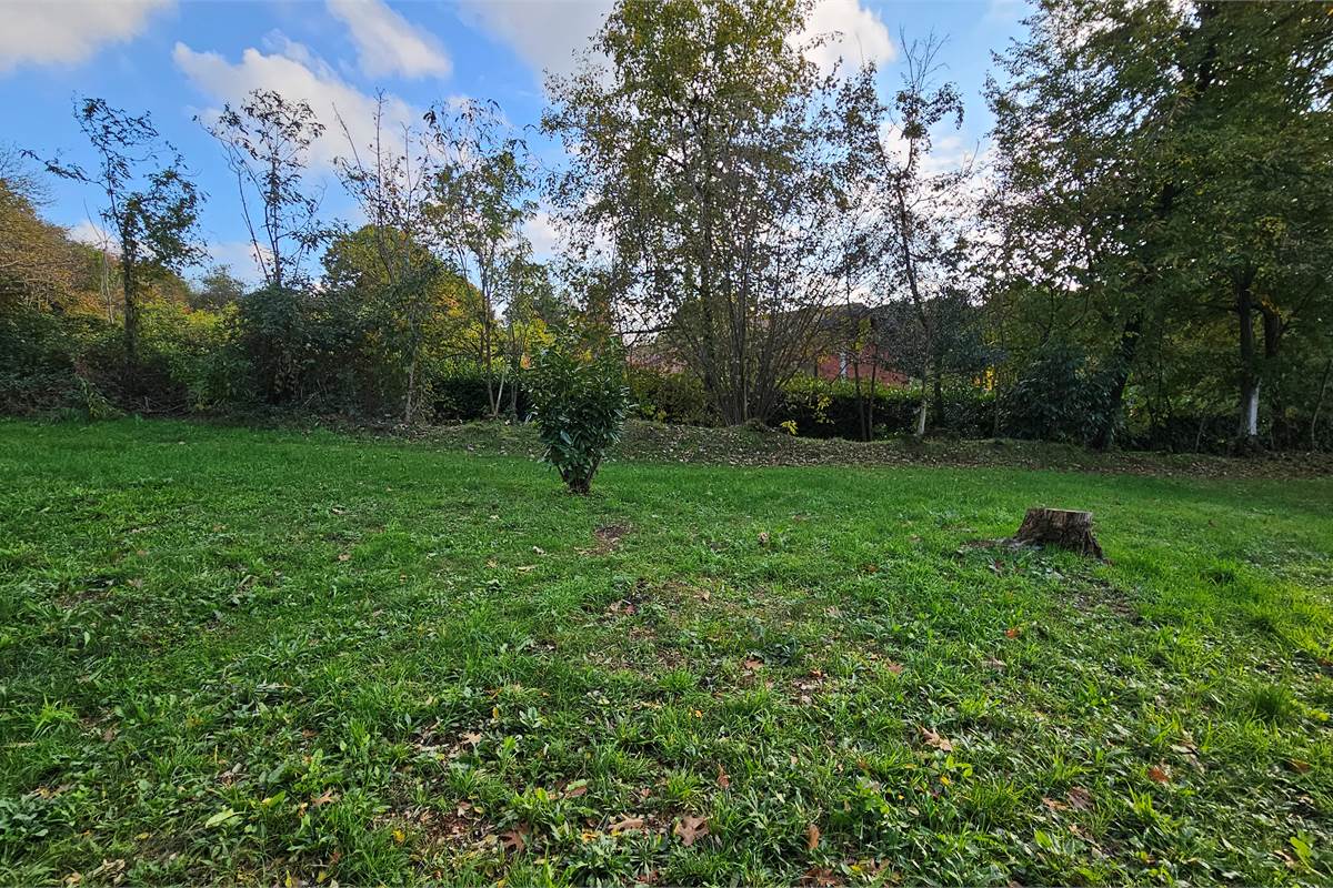 Terreno agricolo e boschivo a Vertemate 