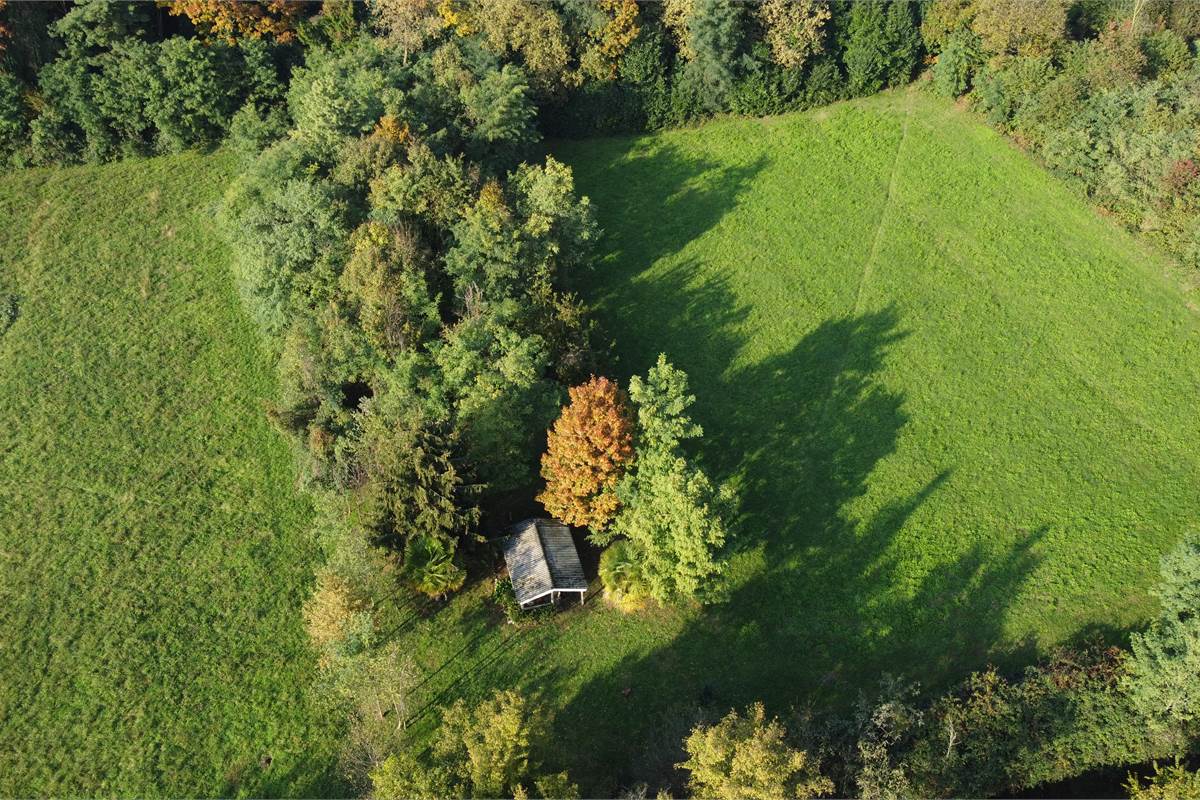 Terreno agricolo e boschivo a Vertemate 