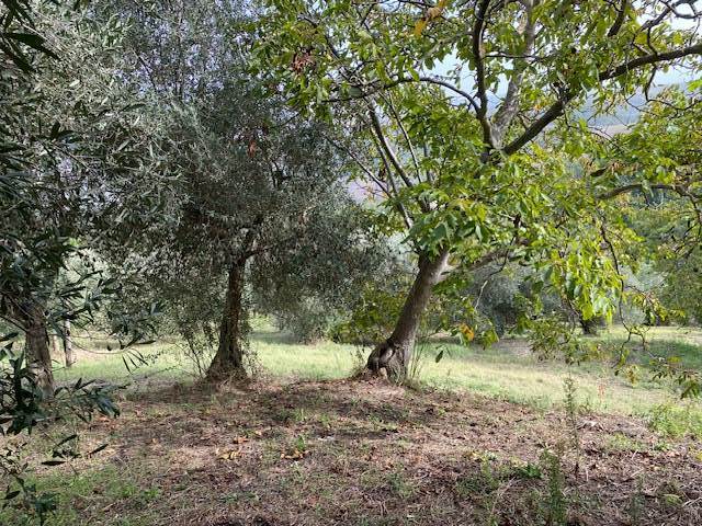 CASTELPOTO (BN)