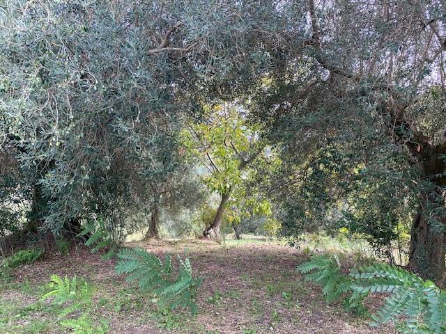 CASTELPOTO (BN)