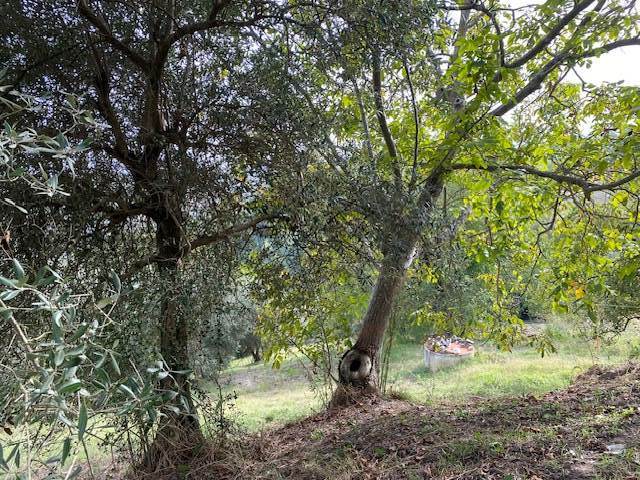 CASTELPOTO (BN)