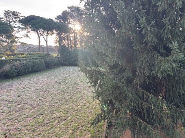 FINO MORNASCO